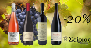 vineyard grapes background 1
